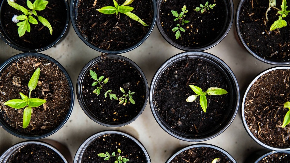 ¿Qué es el capital riesgo?