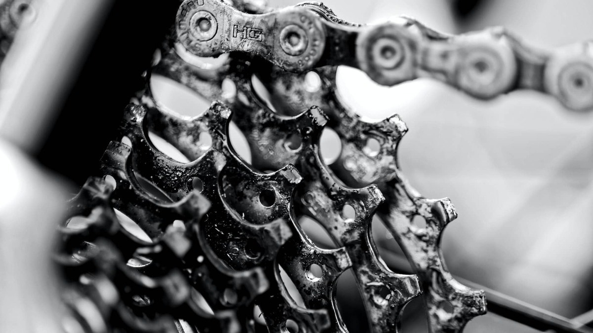 ¿Cómo funcionan realmente los bancos?