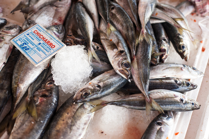 Qué son y cómo evitar los chicharros en la Bolsa