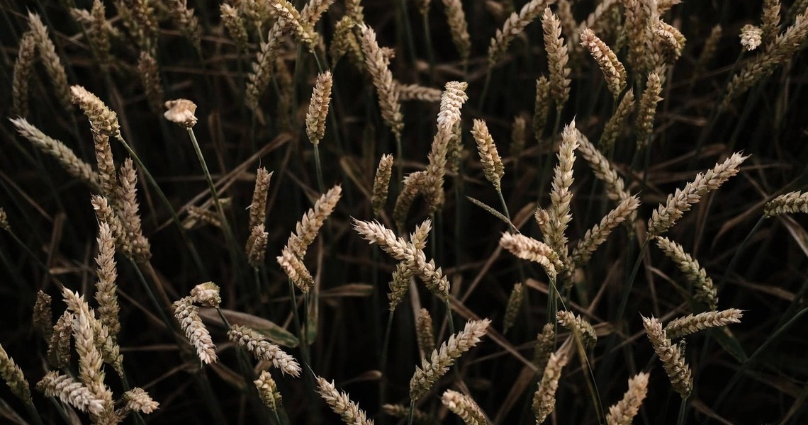 S&P GSCI Total Return Index, benchmark de materias primas