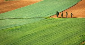 precio materias primas