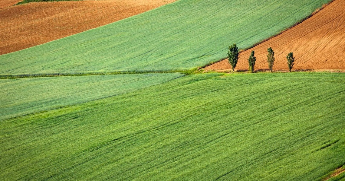 Activos reales: ¿Cómo se calcula el precio de las materias primas?