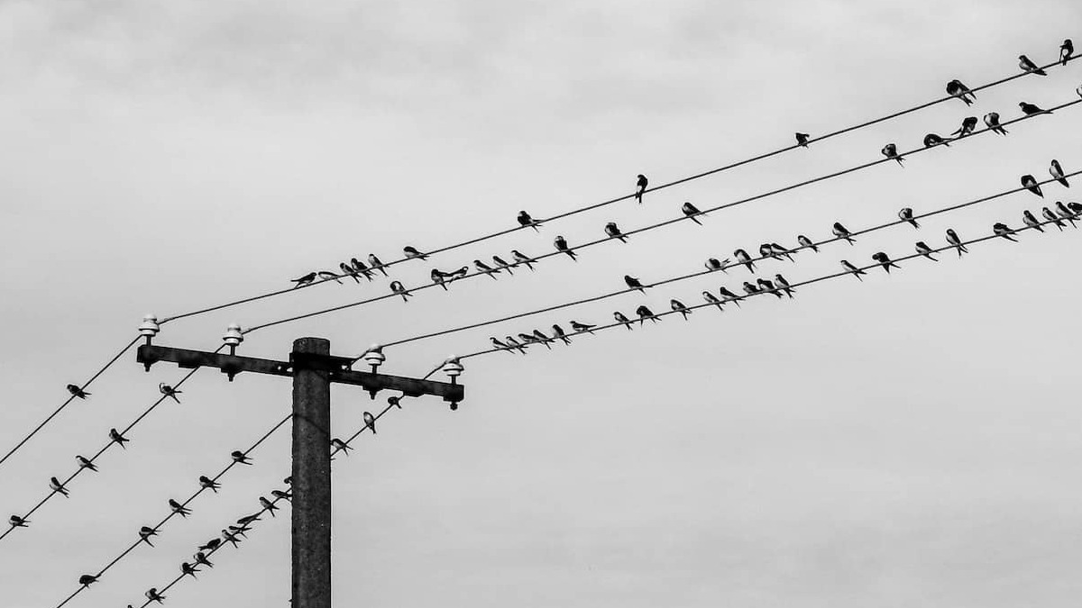 Qué es un concurso de acreedores: cómo afecta a una empresa en quiebra