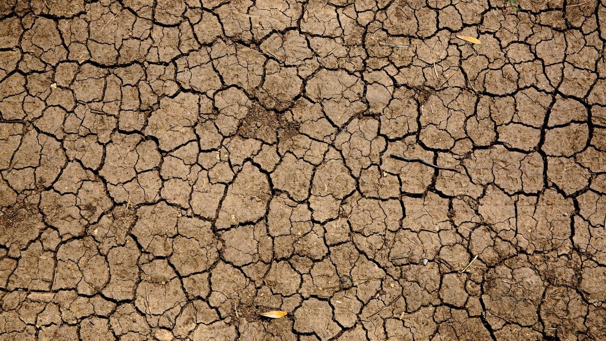 TPI: así es el nuevo mecanismo antifragmentación del BCE