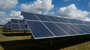 apertura de mercados