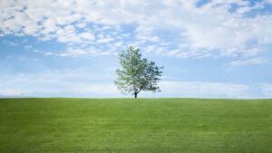 consumo de alimentos