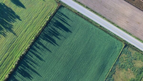 Agricultura del futuro