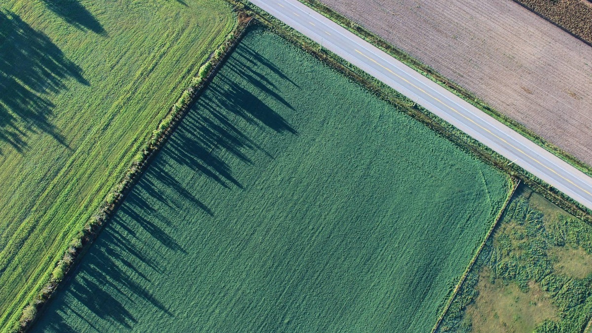 Cómo invertir ya en la agricultura del futuro