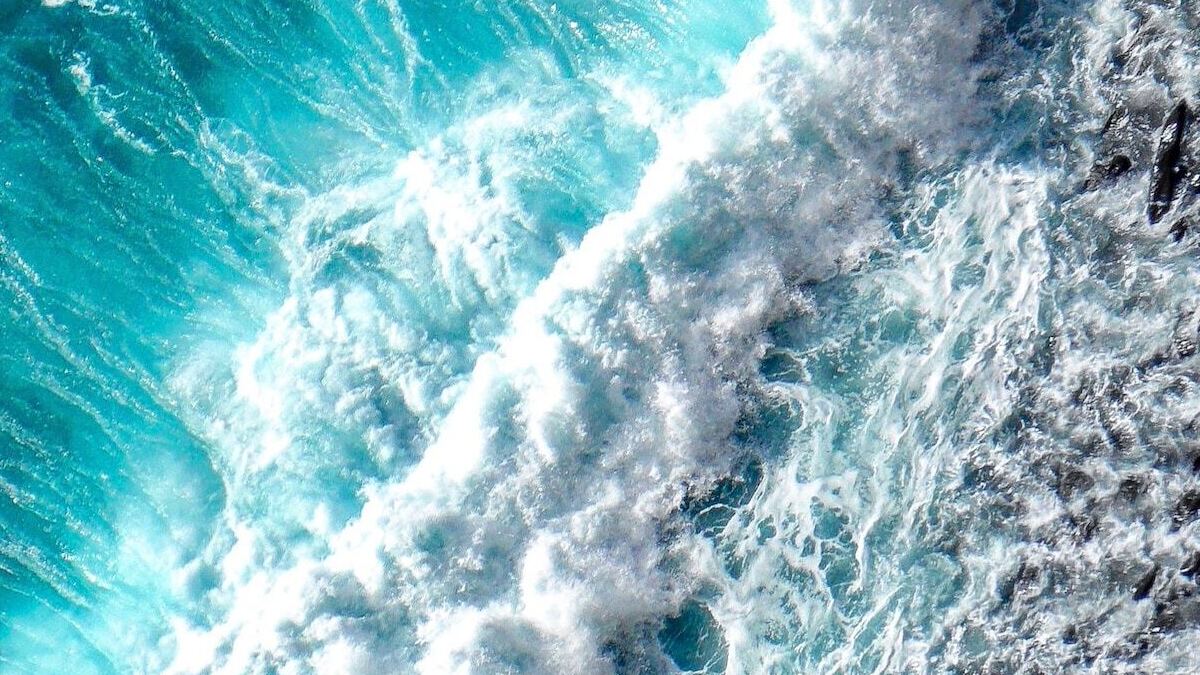 Fondos de inversión para proteger los mares y océanos