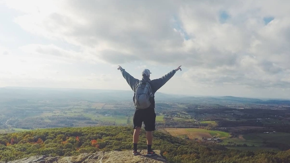 Los dividendos alcanzan niveles récord