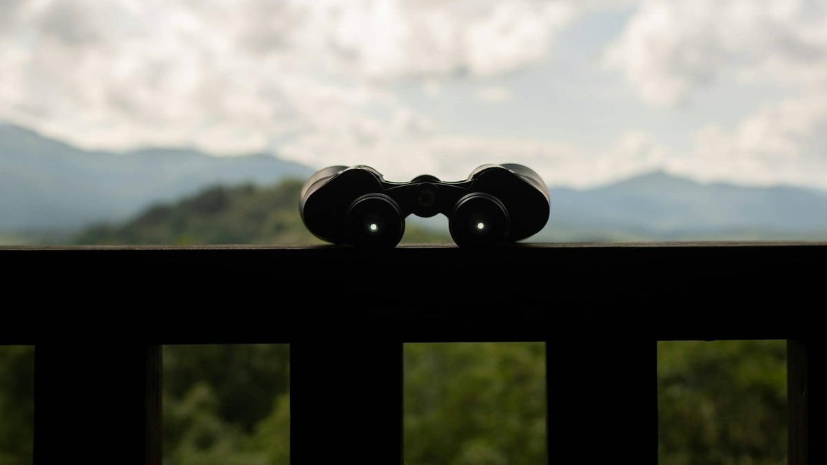 Fondos: balance de 2025 y claves para 2026