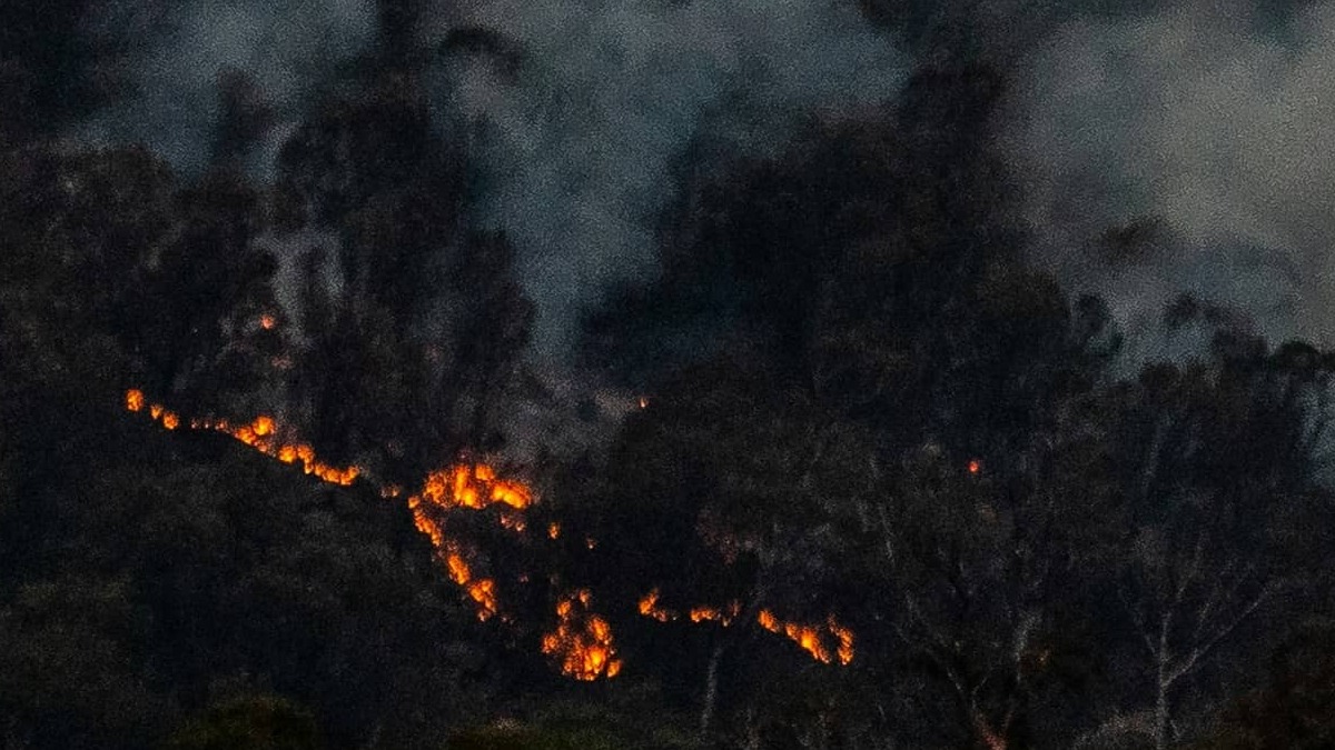 Estrategias bélicas en los negocios: La “Tierra quemada” en las adquisiciones hostiles