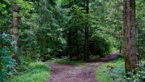 Valor absoluto y relativo