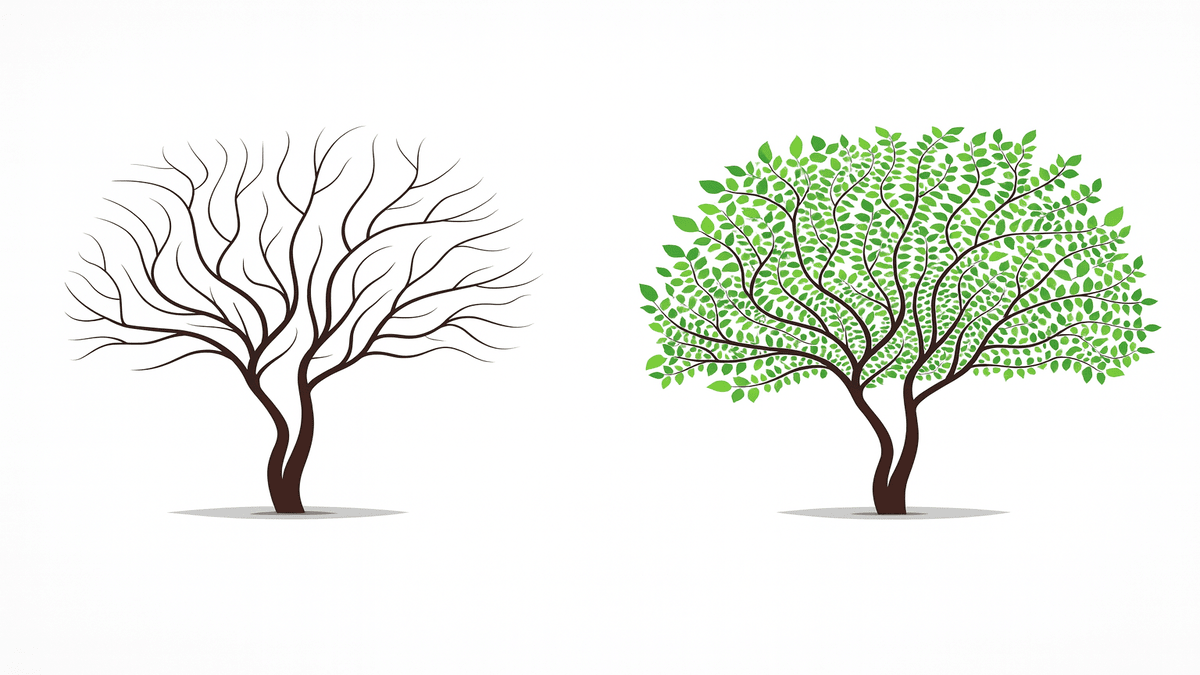 El impacto de los tipos de interés en los fondos monetarios